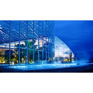 JOCHEN SCHWEIZER Geschenkgutschein: Wellnessurlaub in der Therme Sinsheim für 2 (1 Nacht)