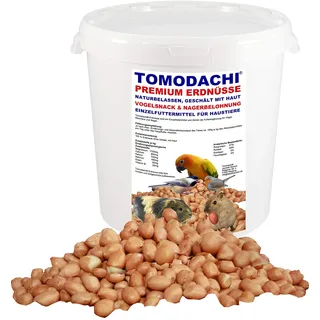 Erdnüsse, Nagersnack, geschälte Erdnüsse mit Haut, Naturprodukt ohne Chemie, Nagerbelohnung und beliebtes Nagerfutter, Tomodachi Premium Erdnüsse 2kg Eimer
