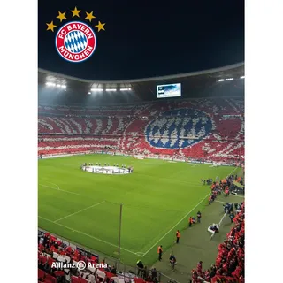 BERONAGE Tagesdecke FC Bayern München Decke Allianz Arena 150x200 cm Kuscheldecke Fußball, passend zur Bettwäsche, ideal für Sofa, Couch, Kinder-Bett, Auto bunt