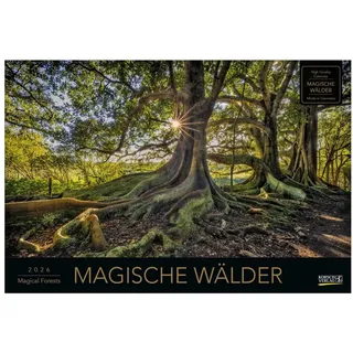 Korsch Verlag Magische Wälder 2026
