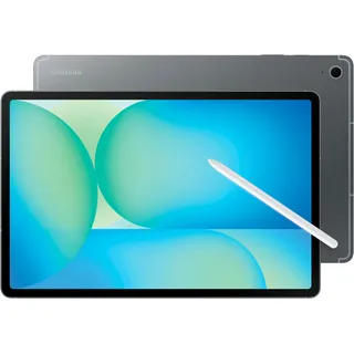 13.1'' 256 GB Wi-Fi Gray