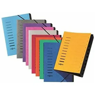 Pagna Ordnungsmappe 12 Fächer weiß