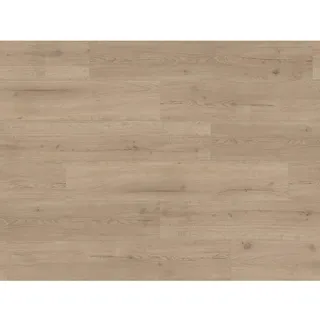 Vinylboden Basic 30 Eiche Infinity Grau