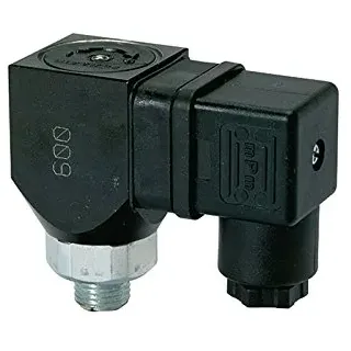 Riegler Druckschalter, Wechselkont. drehbar, Stahl ver., G 1/8, 1-10 bar