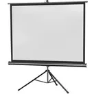 Celexon Beamer-Leinwand Economy, 87 Zoll, 176 x 132 cm, Format 4:3, Stativleinwand