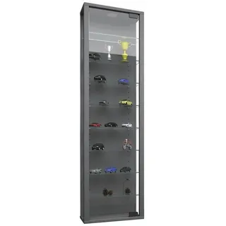 VCM Vitrine »Stano Maxi«, inkl. LED-Beleuchtung, BxH: 33 x 113 cm, Holzwerkstoff/Glas - silberfarben