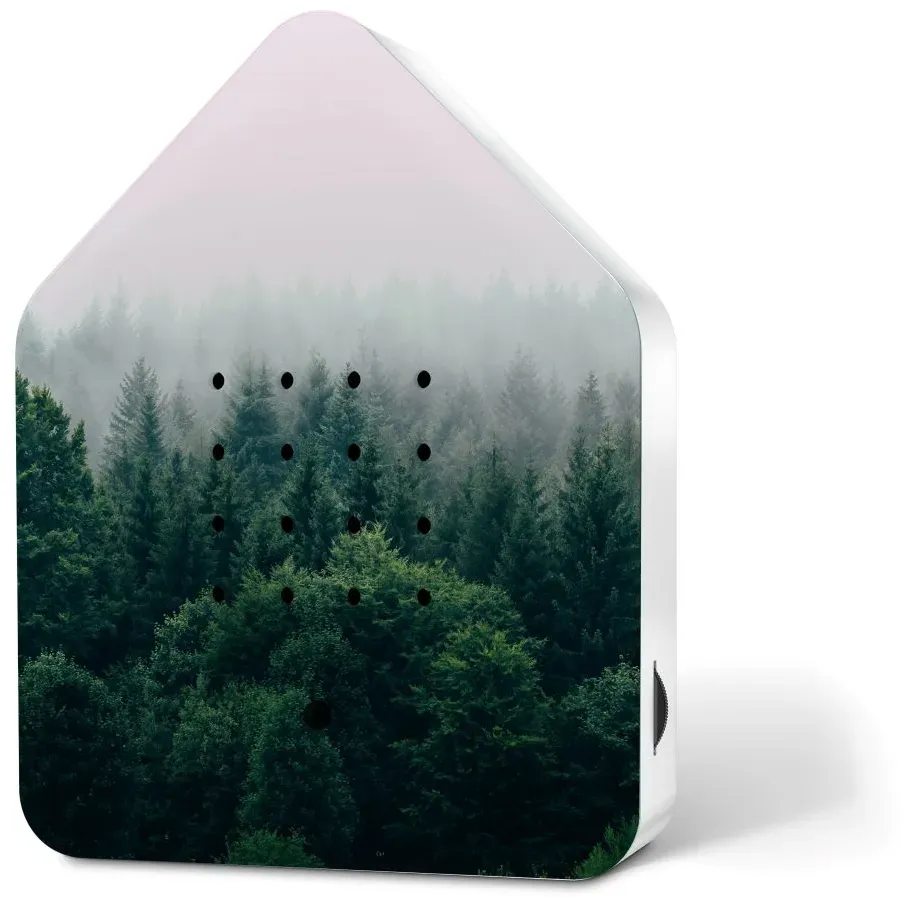 Zwitscherbox Limited Edition Morning Forest