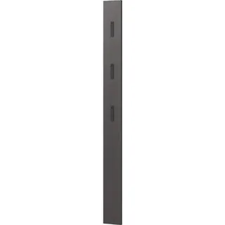 Germania Garderobenpaneel 3728-547, Graphit, mit drei ausklappbaren Kleiderhaken aus Metall, 15 x 170 cm