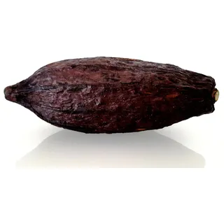 CleanPrince 1 Stück echte ganze Kakaoschote mittel Länge ca. 11-13 cm, Höhe ca. 5-9 cm, Kakaofrucht Kakaobohne Kakao, getrocknet, Schokoladenbraun, braun, Deko, Dekofrüchte