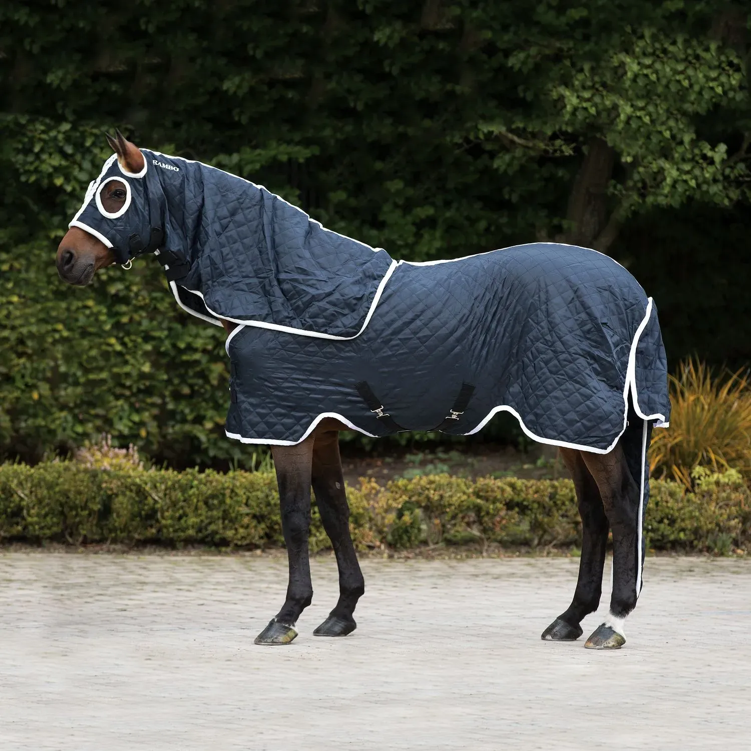 Horseware Rambo Show Set Rug 100g - Navy/White, S