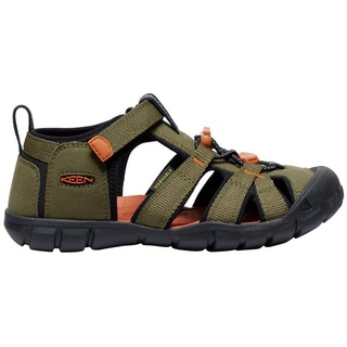 dark olive/gold flame 36