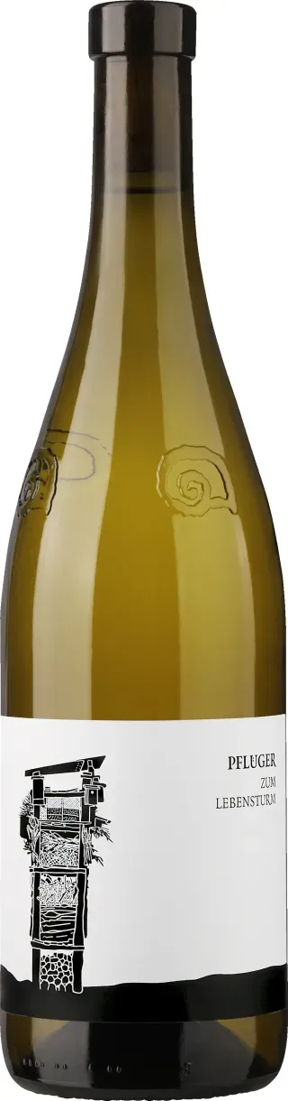 Zum Lebensturm Qualitätswein Pfalz 2024, Bio Weisswein, Biowein