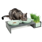 Futterbar "Cat Diner Keramik, mit Katzengras Schale Futternapf Futterstation grau|grün