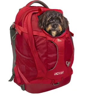 Kurgo G-Train Rucksack, Mit integriertem Hundefach, Wasserfester Boden, Mit Flaschenhaltern, Für Haustiere bis 11 kg, Rot, 33 x 53 x 25 cm