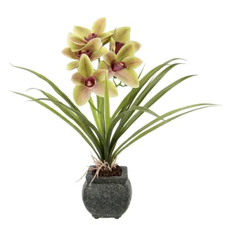 Künstliche Cymbidium-Orchidee 40cm mit Blätter und Luftwurzeln im Topf aus Keramik Blume Kunstorchidee Orchidee Phalaenopsis mit Übertopf Kunstpflanze Hochzeit Deko Seidenblume Real Blüte, grün