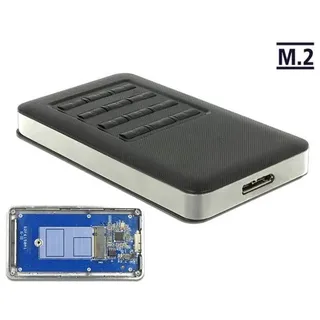 DeLock M.2 Gehäuse 1 x M.2 SATA USB 3,0
