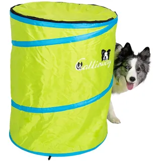 Callieway Hoopers Agility Barrel – Tonne/Fass für Hundetraining (Doppelpack, Blau) | Leicht, stabil & beschwerbar | Inkl. Transporttasche | Agility Parcours für Hunde | Blau (Lime)