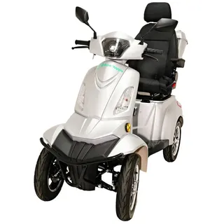 STW GmbH E-Motorroller SENIOREN-MOBIL ELEKTRO-ROLLER 25KMH 60V 20Ah LITHIUM TOP CASE COC, 25 km/h silberfarben