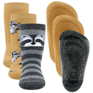 Ewers ABS-Socken Stoppersocken 3er Pack Waschbären bunt 21-22