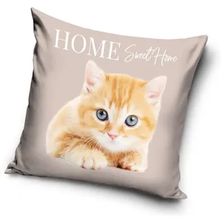 Katzen Baby Motiv Kissenhülle Kissenbezug 40x40 cm (PNL214091)