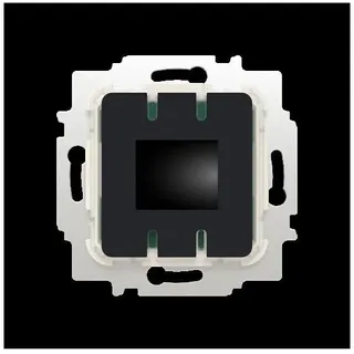 Busch-Jaeger Temperaturregler 62842 U-WL