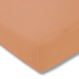 180 x 200 - 200 x 220 cm beige