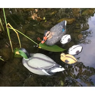 LB H&F Lilienburg Teichfigur 5 Stück Teichente Schwimmente Dekoente Gartenfigur, (Entenküken Teich Deko Garten Gartenteich Schwimmenten Teichdeko Stockente Entenfamilie groß schwimmend Küken Teichfigur Teichfigur Seehund Kopf Schwimmtier Dekofigur Tierfigur Gartenteich schwimmender Tierkopf Brunnen Schwimmdeko Dekoration Schwimmkopf dekorieren Idee Geschenk Gartendekoration Miniteich Teich Gartendeko Teichtier schwimmt Entenfamilie, Ente Lockente Teich Kunststoff Schwimmtier Schwimmfigur), Miniteich Erpel Ente Dekofigur Teichfigur Gartenteich bunt
