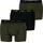 Everyday Boxershorts 3 Einheiten Forest Night M