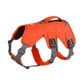 Harness Orange