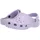 Lavender 36-37