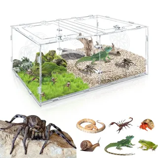 Reptilien-Terrarium, 15.75*7.87*9.84in Acryl-Terrarium mit zwei Kammern für Spinnen, Reptiliengehege für kleine baumbewohnende Reptilien