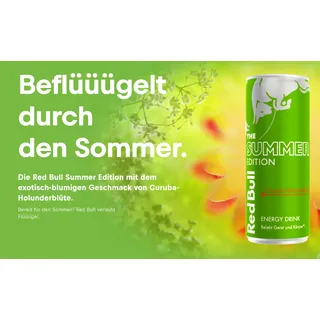 Red Bull The Summer Edition Curuba-Holunderblüte Dose