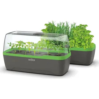 ROMBERG BoQube Gewächshaus Dunkelgrau, Grün