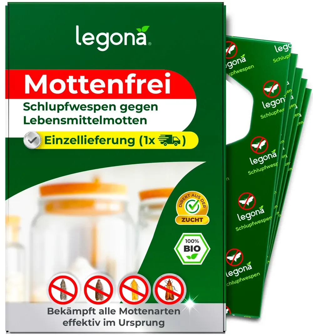Schlupfwespen gegen Lebensmittelmotten