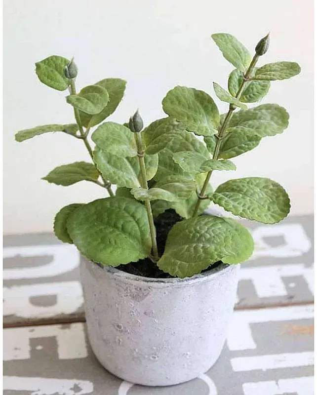 Künstliche Minze, getopft, 19 cm, grün
