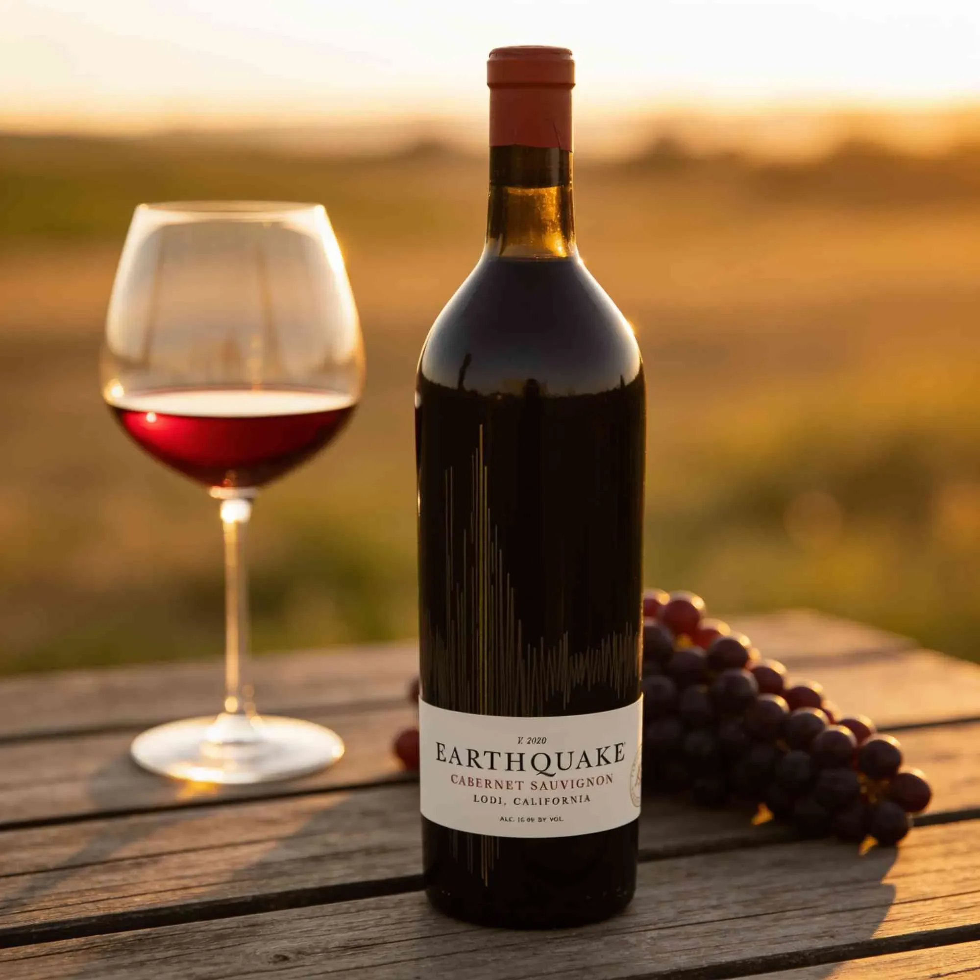 Michael David Winery 2020 Michael David Winery Earthquake Cabernet Sauvignon 2020 Cabernet Sauvignon USA