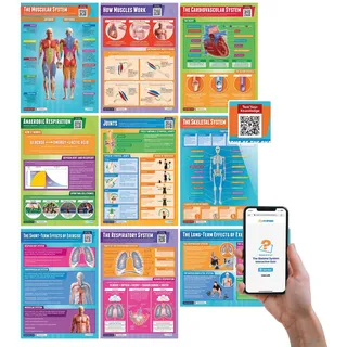 Daydream Education Poster für Anatomie und Physiologie, Hochglanzpapier, 850 mm x 594 mm (A1), Lehrtafeln für das Klassenzimmer, 9 Stück – auf Englisch