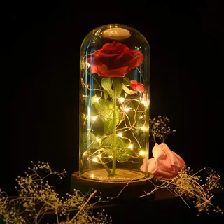 shirylzee Ewige Rose für Frauen, Die Schöne und das Biest Rose, Rote Ewige Rose im Glas mit Licht, Muttertag Rosen Blumen für Freundin Mama Geburtstags Hochzeitstag Überraschung