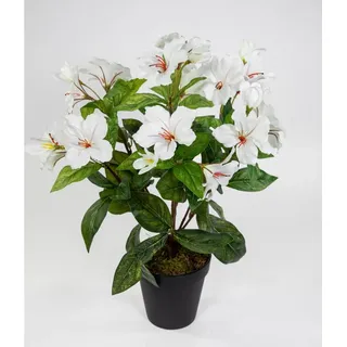 Kunstblume Hibiskus 40cm im Topf ZF Kunstpflanzen Blumen künstlicher Eibisch Hibiskus, Seidenblumen Roß, Höhe 40 cm, Weiß-Creme weiß