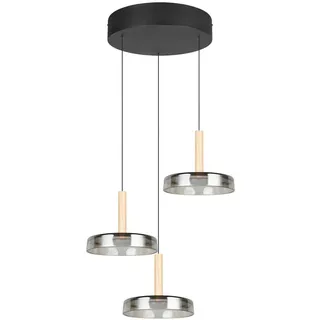 Trio Leuchten Led-Pendelleuchte, schwarz /Rauchglas