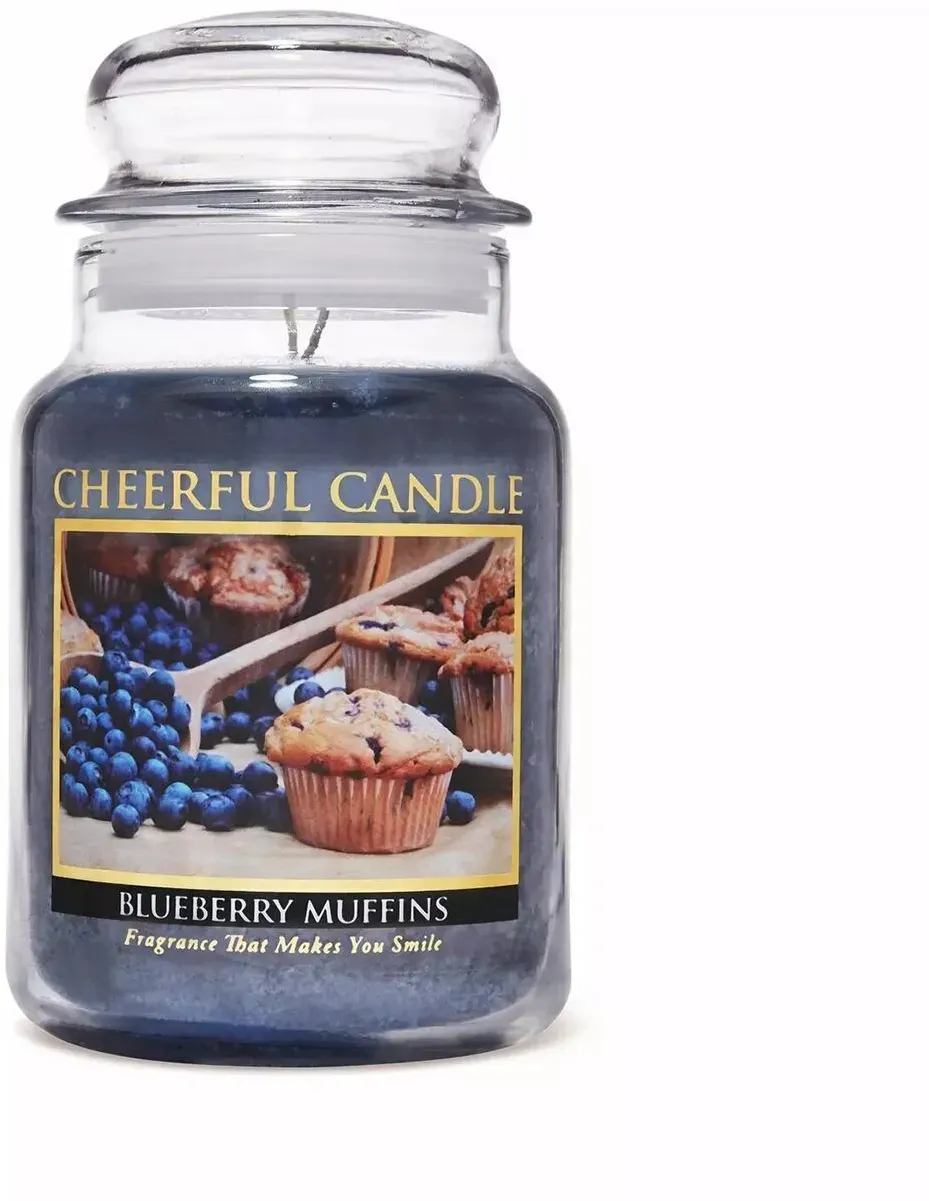 Blueberry Muffins 680g