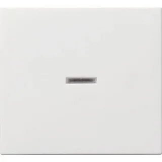 Gira Wippe rws-gl mit Kontroll-Fenster 029003