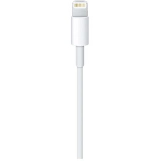 Apple Lightning to USB Cable (0.5 m)