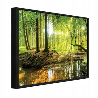 Gerahmtes Leinwandbild Mit Schwarzem Rahmen, Wald Und Bäume Natur Für Wohnzimmer Und Schlafzimmer, Hochauflösender Druck, 120 X 80 Cm
