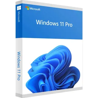 Microsoft Windows 11 Pro USB-Stick EN
