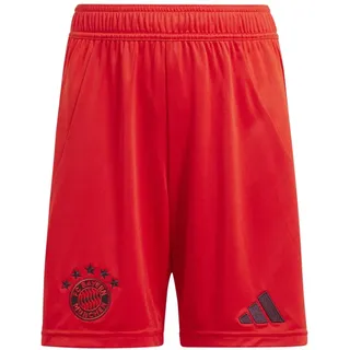 Adidas FC Bayern München 24/25 Heimshorts Kids Red 164    