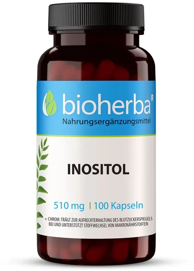 Inositol 510 mg 100 Kapseln