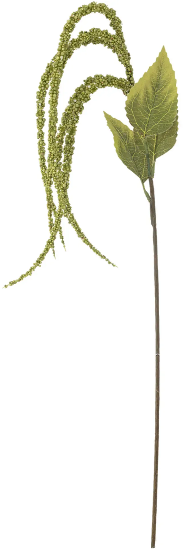 Bloomingville Foxtail Stiel, Grün, Künstliche Blume, Ø 13xH107 cm