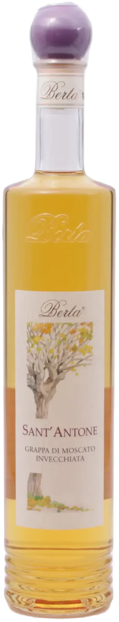 Distilleria Berta Grappa Sant Antone Barrique