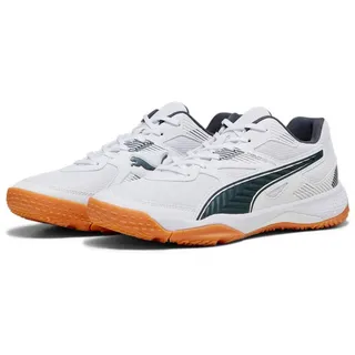 puma white-shadow/ gray-gum 43